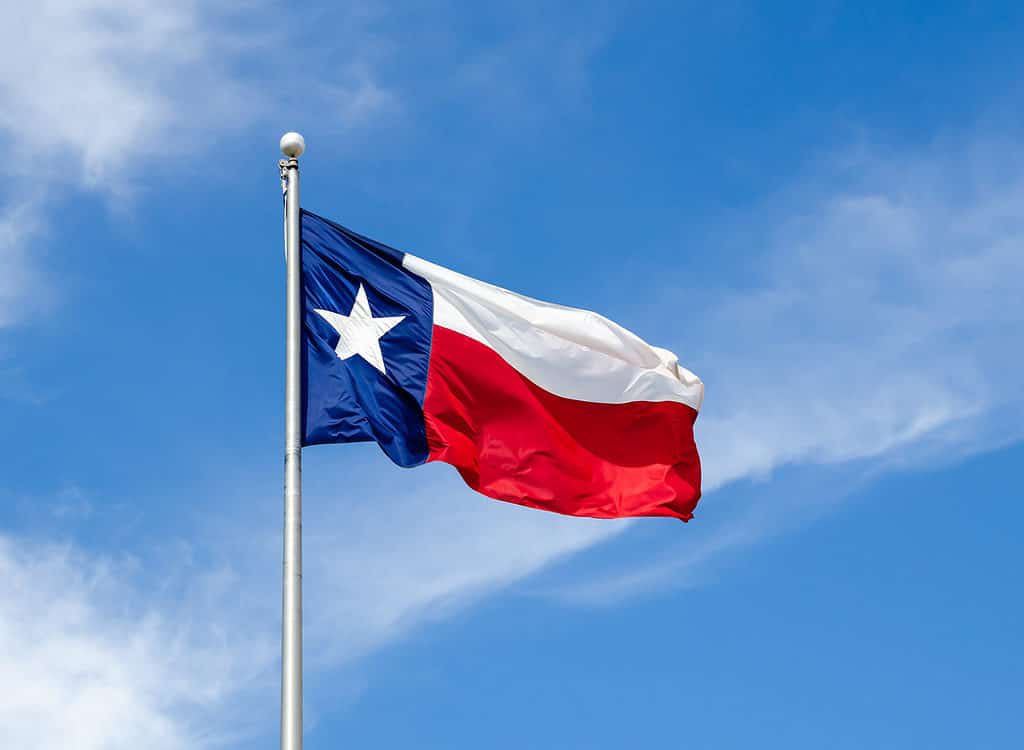 Chile Recalls Ambassador from Israel Over Gaza Genocide