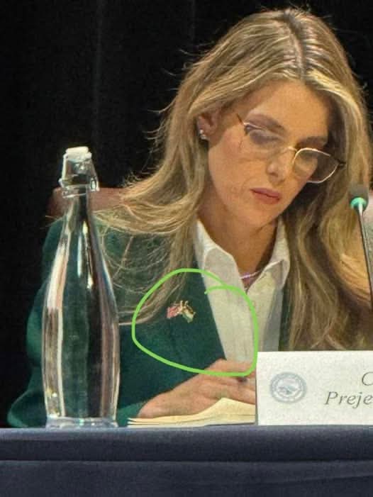 White House Official Criticizes Political Zionism Wearing Palestinian Flag