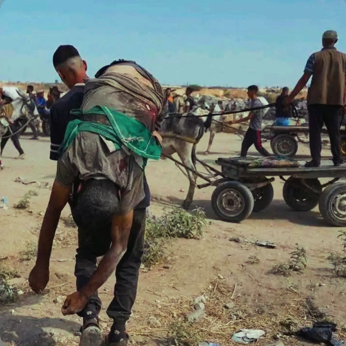Human Persecution Throughout History for Basic Survival Needs