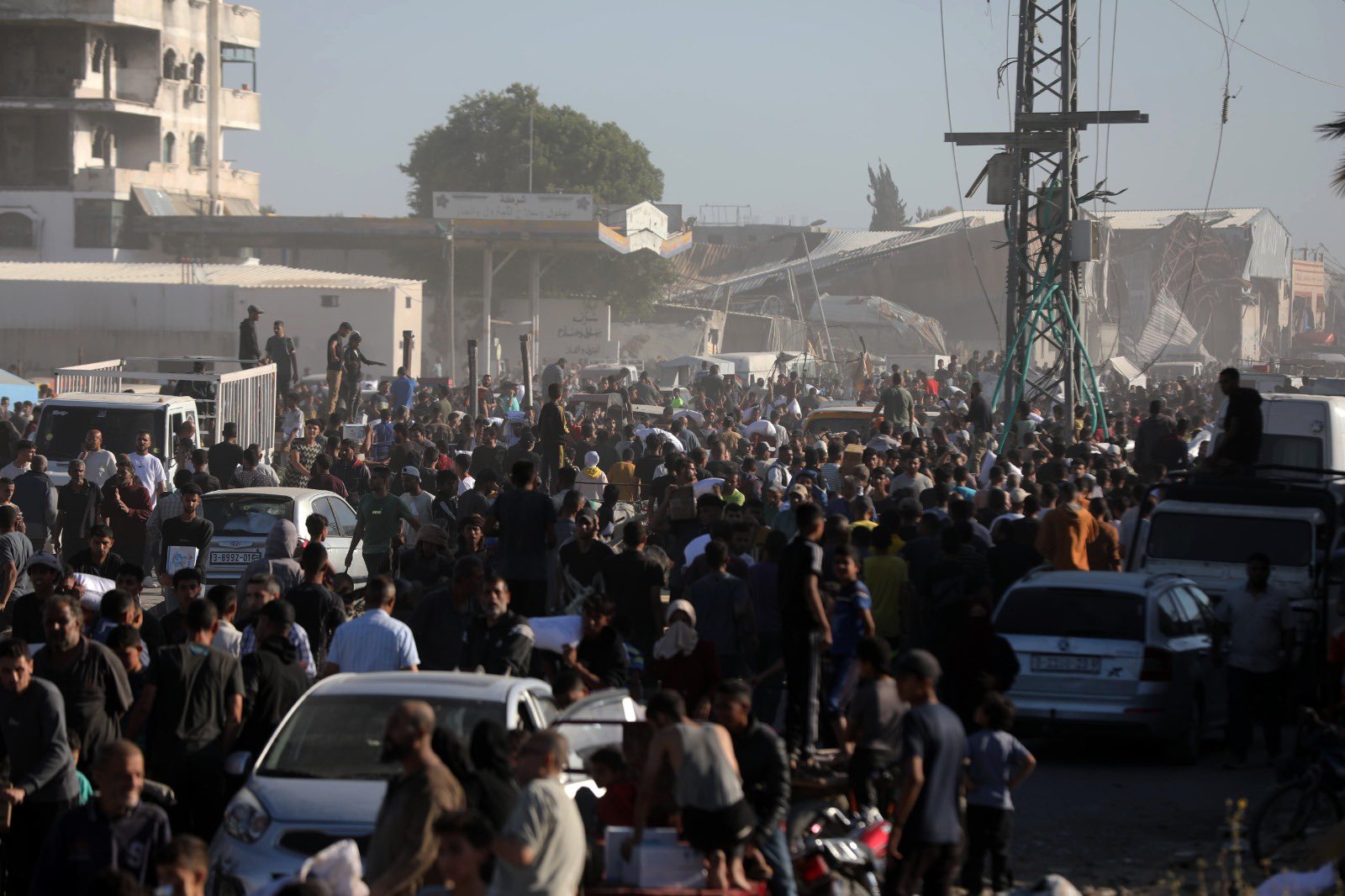 UN Rapporteur: Genocide and Starvation in Gaza