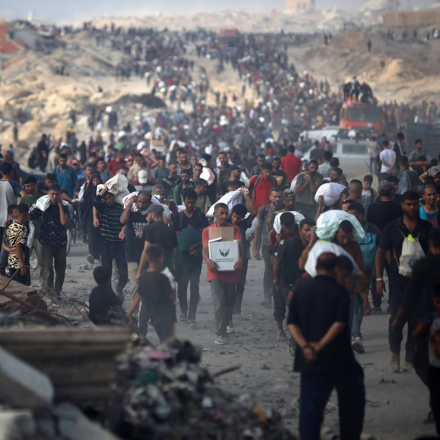 Harvard Reports 377,000 Gazans Missing Since Start of War