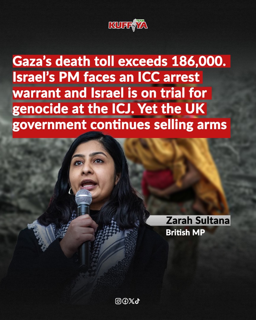 British MP Criticizes Government Arms Sales to Israel