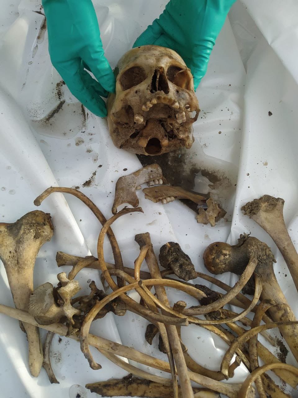 Bodies Retrieved from Gaza City Neighbourhood