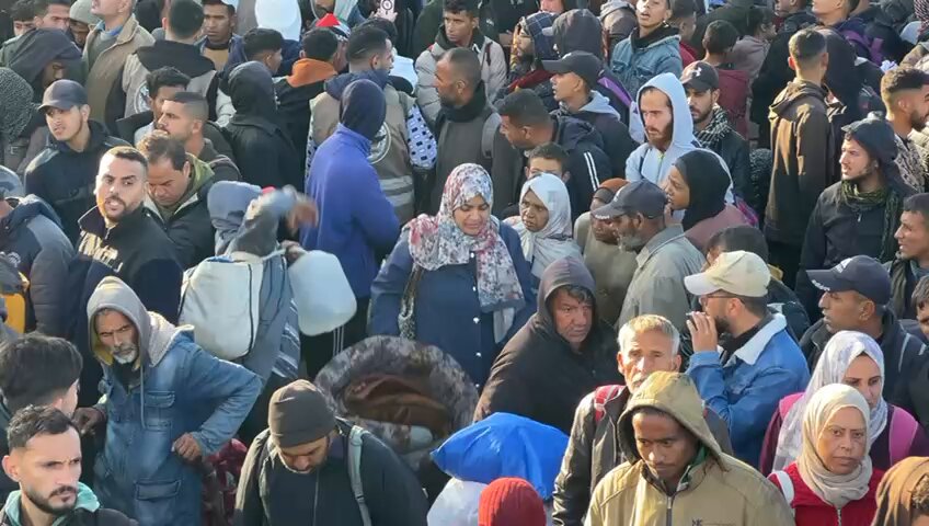 Displaced persons gathering near Gaza City