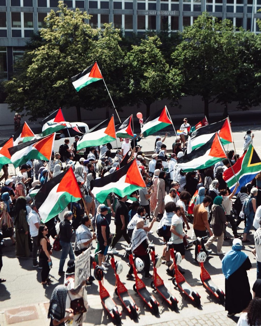 Pro-Palestine Protests in Canada Demand End to Gaza Conflict