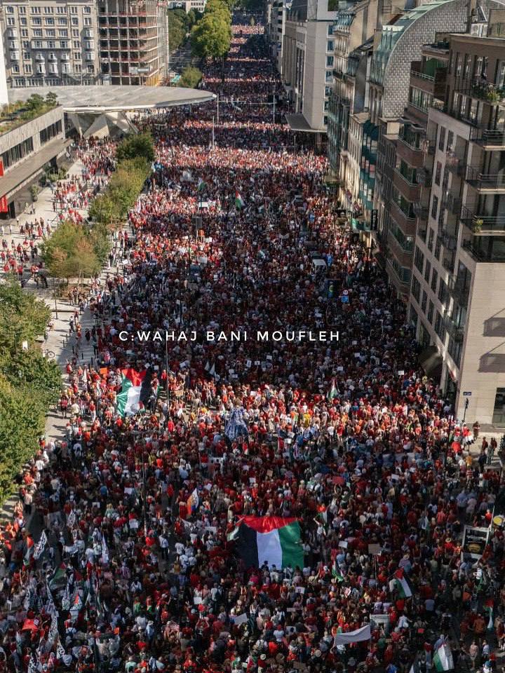 Massive Protests in Brussels Condemn Israeli Actions in Gaza