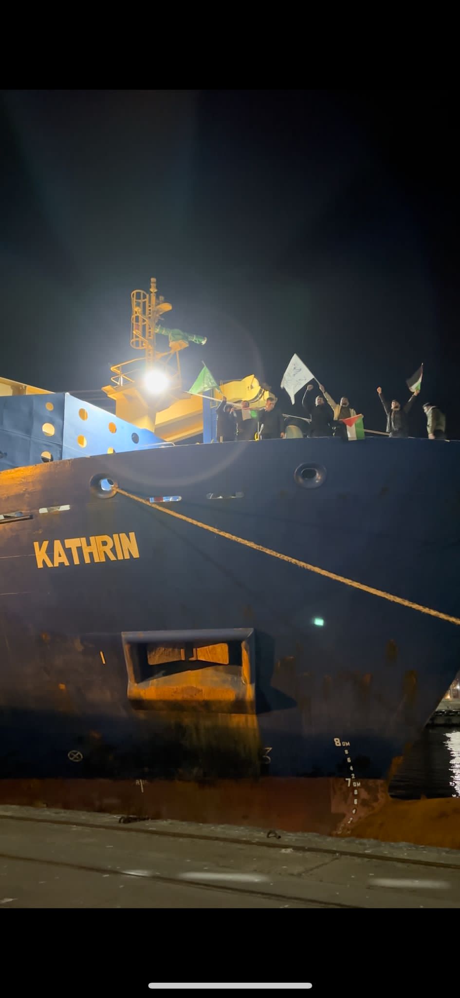 Pro-Palestine activists raise flag on ammunition ship
