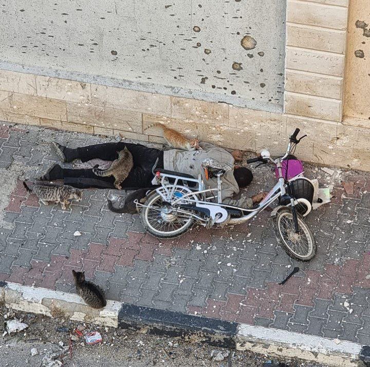 Palestinian man killed by Israeli sniper in Gaza City