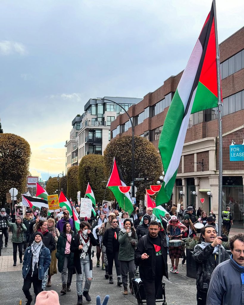 Victoria Protestors Rally for Gaza and Lebanon Solidarity