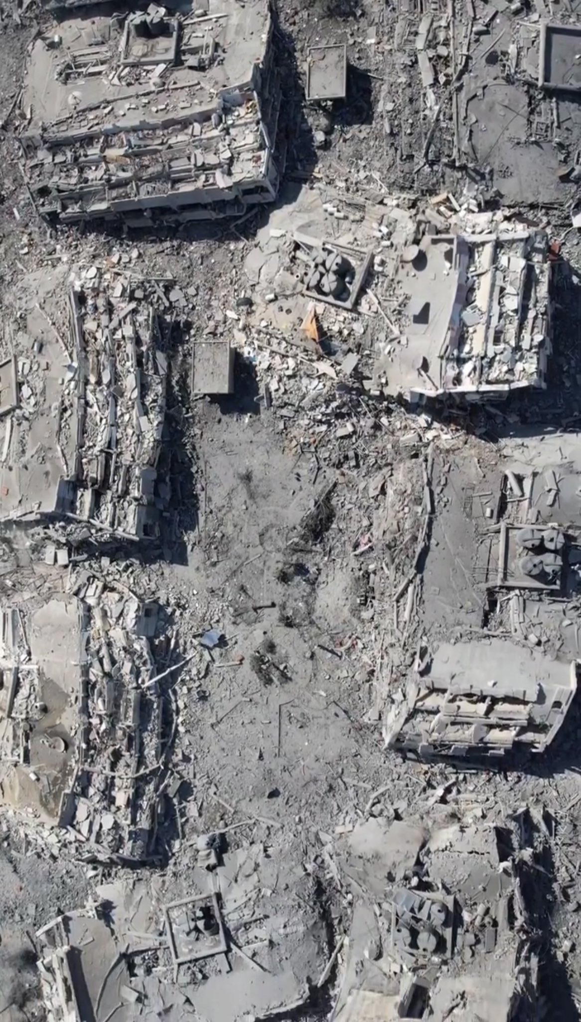 Genocide in Gaza: Demand Permanent Ceasefire Now