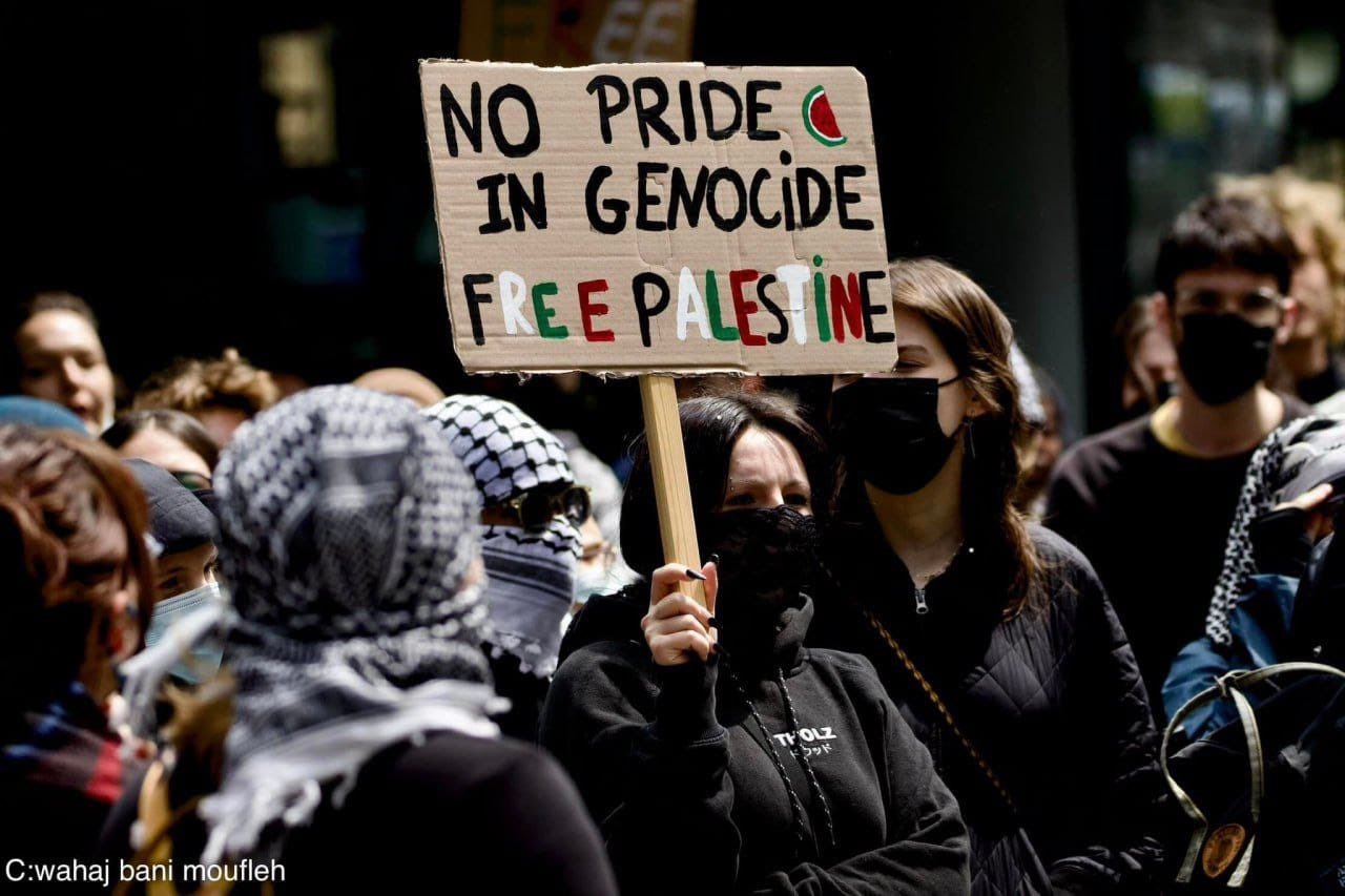 Pro-Palestine Students Protest in The Hague Universities