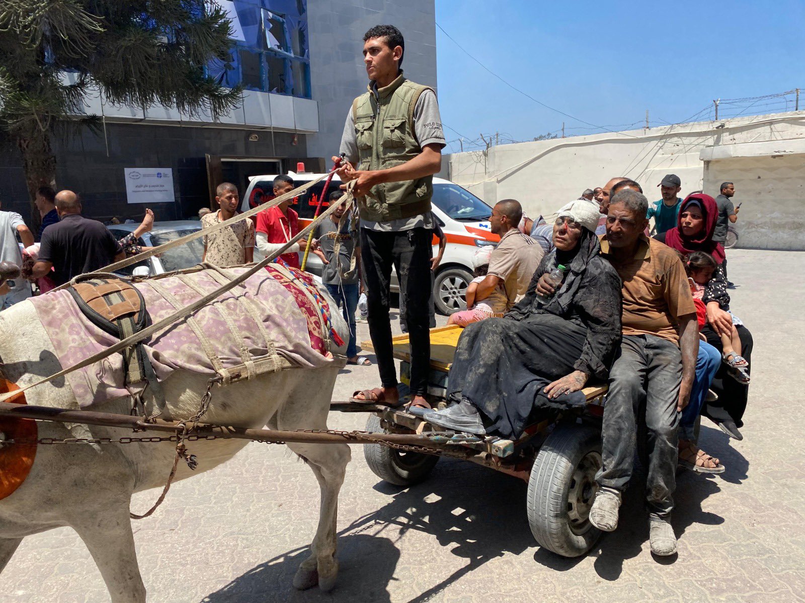 Donkey Ambulance Transports Wounded to Gaza Hospital