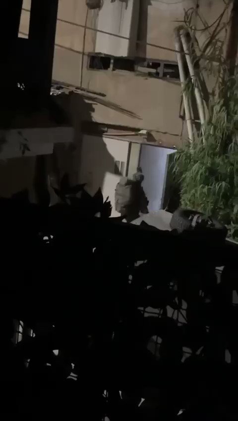 Israeli forces raid Jenin, kill three Palestinians