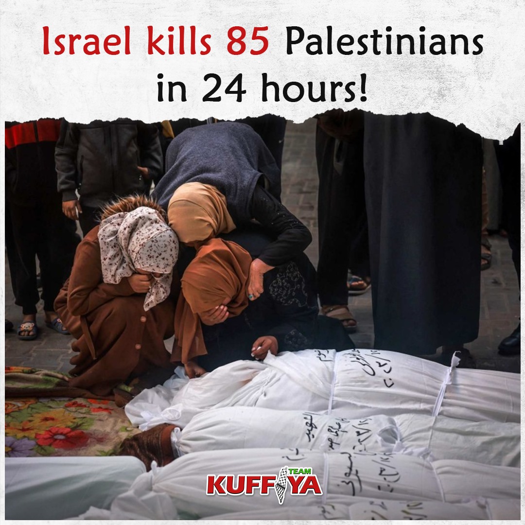 Gaza Ministry Reports 85 Palestinians Killed in 24 Hours