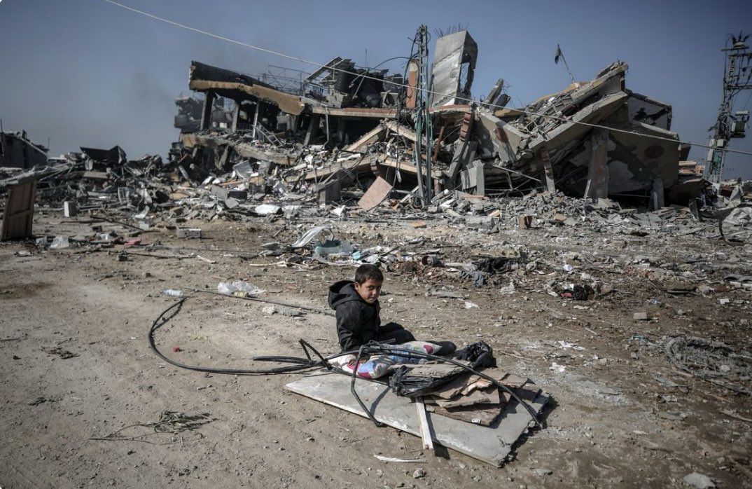 Holocaust and Gaza genocide compared through daily death rates