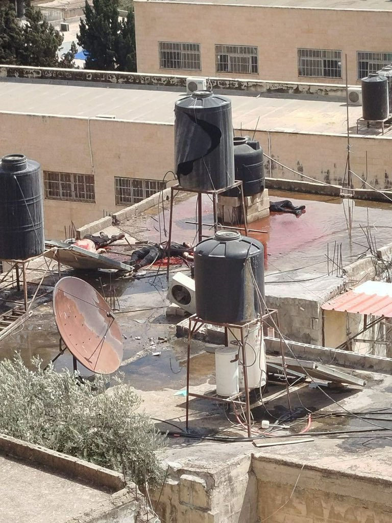 Deaths reported in Jenin occupation forces incident
