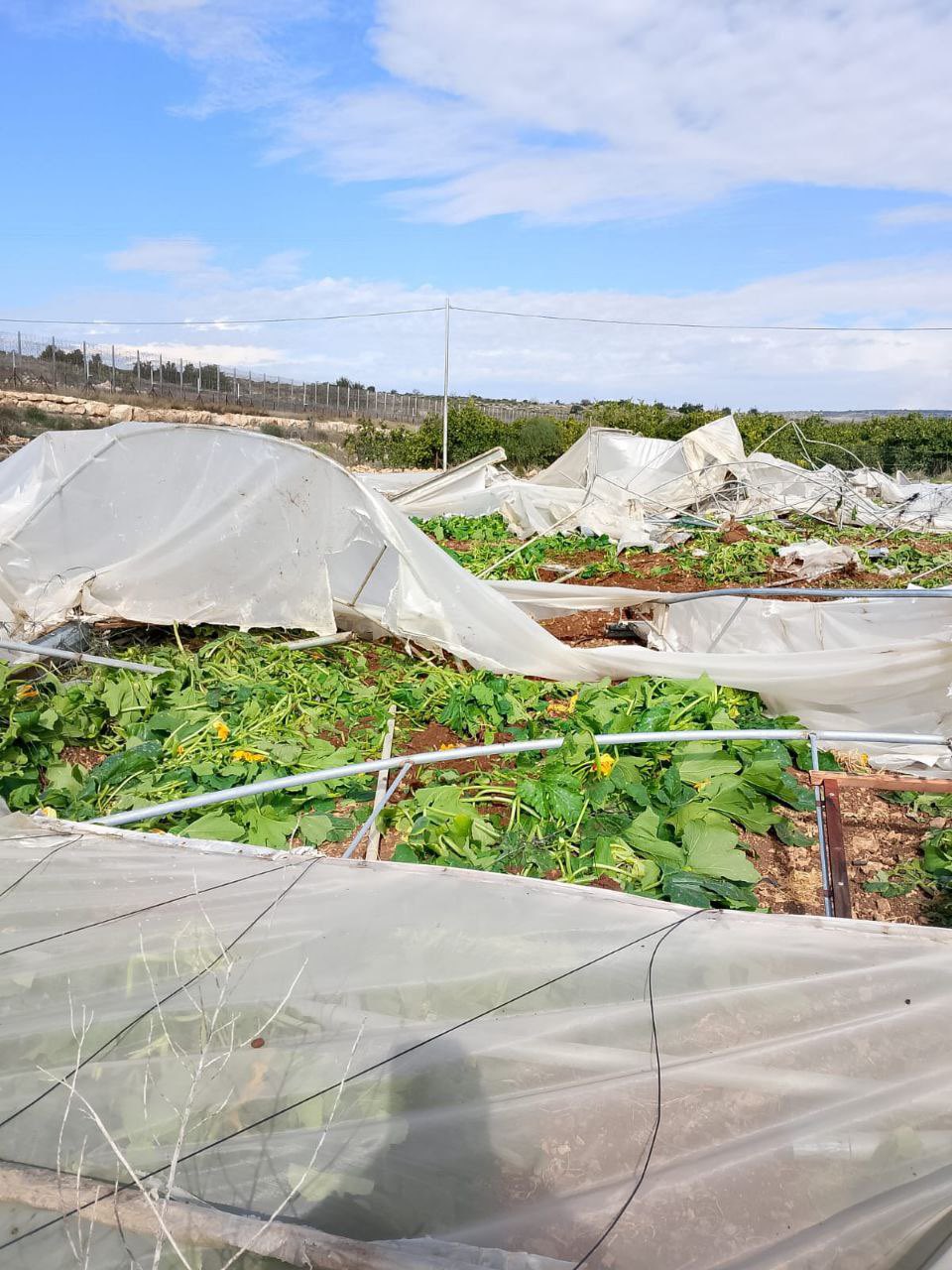 Occupation demolishes plastic houses in Jayyous town