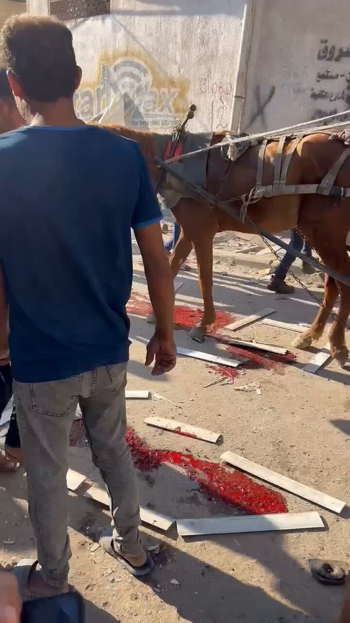 Israeli forces bomb Deir al-Balah market killing 8 Palestinians