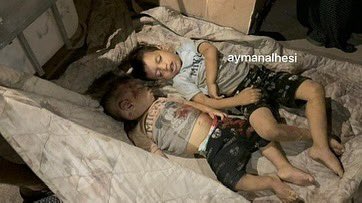 Palestinians killed in bombing of Darwish family home in Shate camp