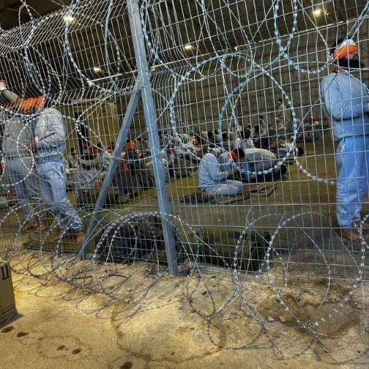 Leaked photos reveal abuse of Gaza detainees in cages