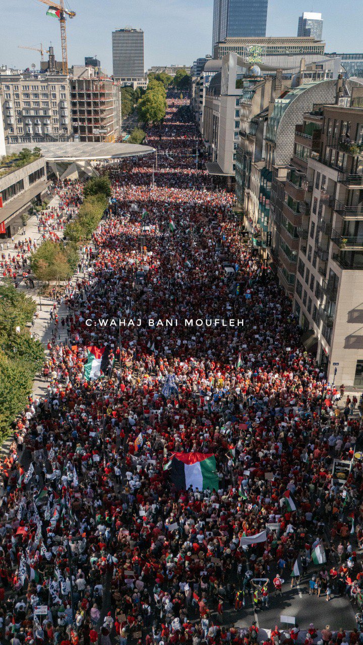 Massive Brussels Protests Demand End to Gaza Genocide