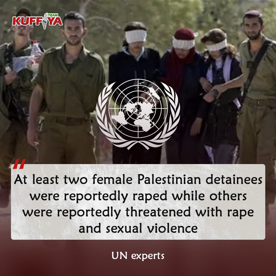 UN Report Documents Israeli Soldiers’ Human Rights Violations in Gaza