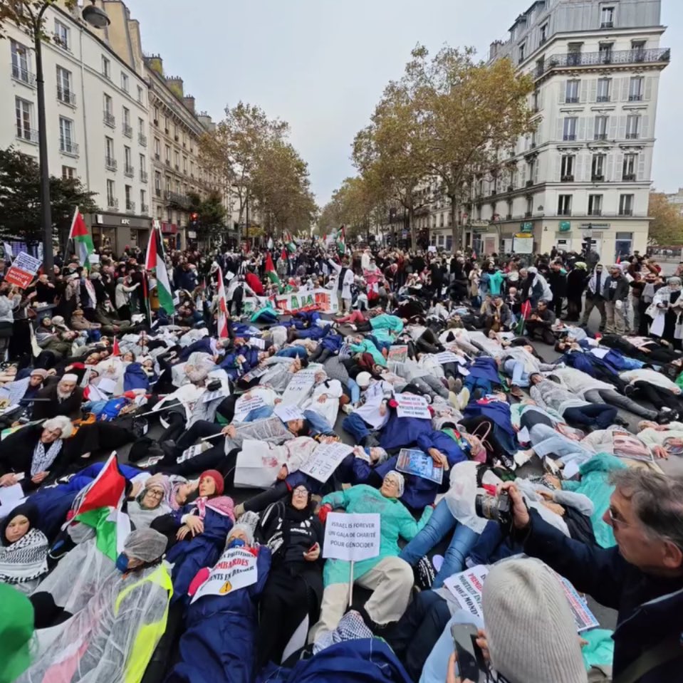 Paris healthcare workers stage die-in for Gaza hospitals solidarity