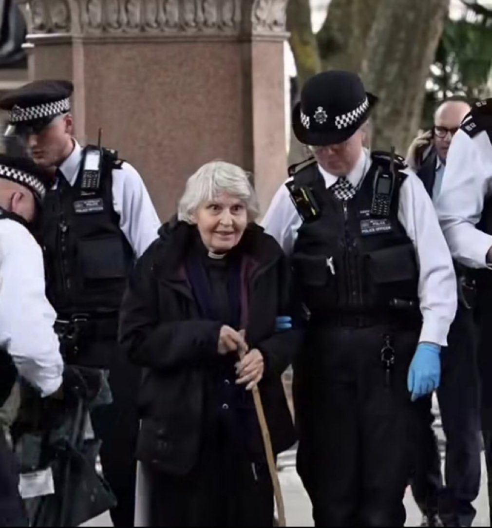 Met Police Arrests Woman Protesting Genocide Support