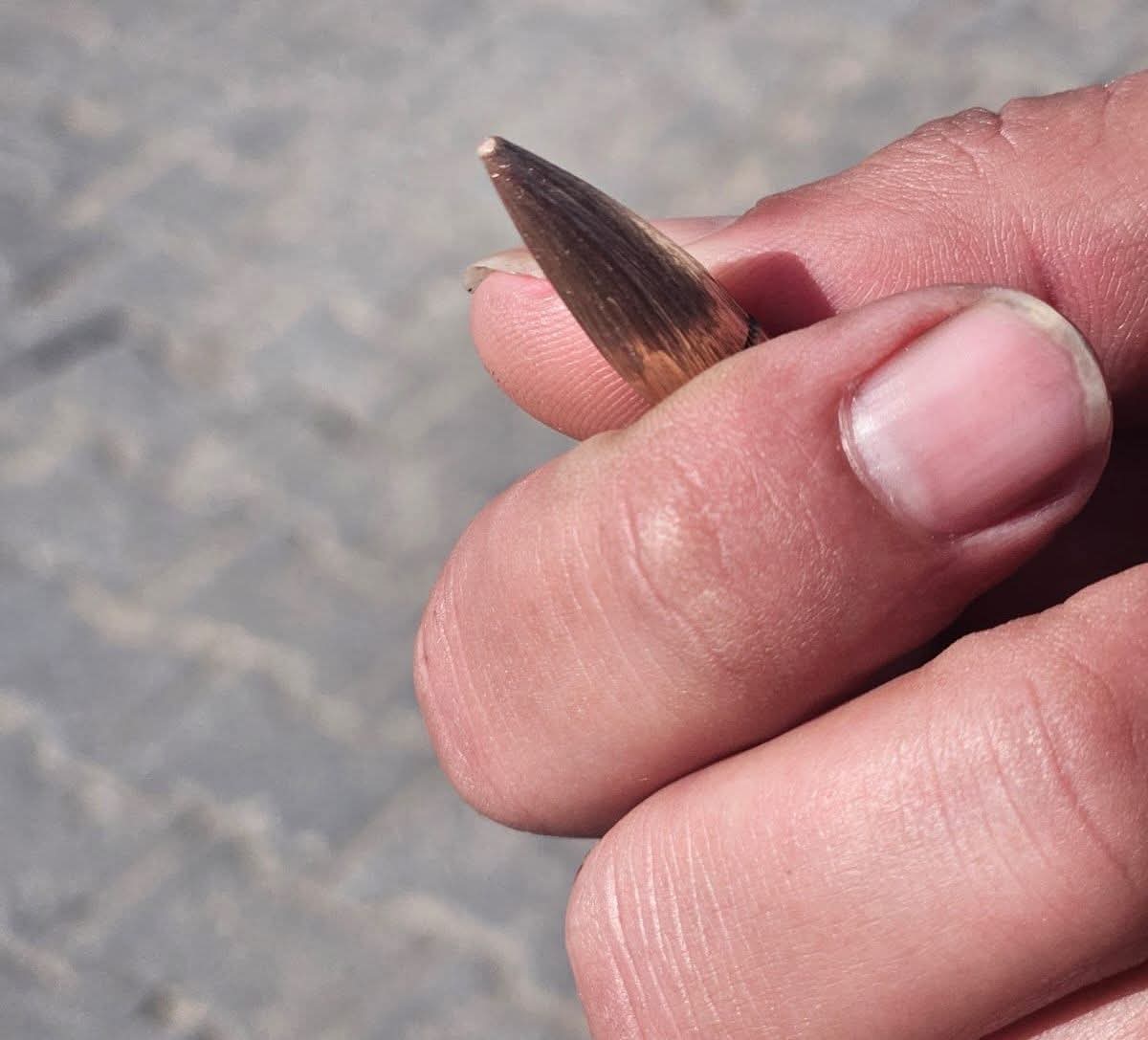 Israeli bullets kill university student in tent near Nasser Hospital