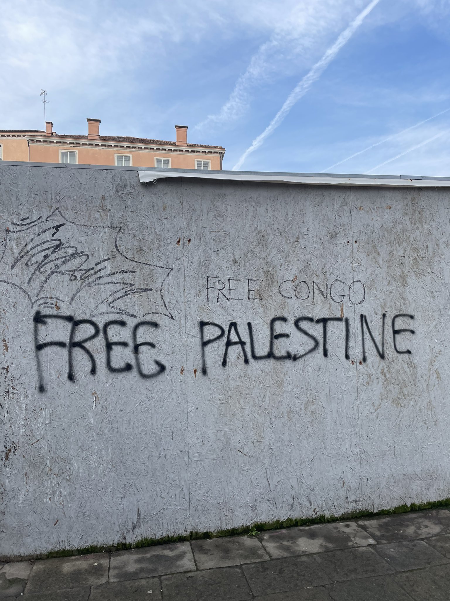 Political activism for Palestine and Congo independence movements
