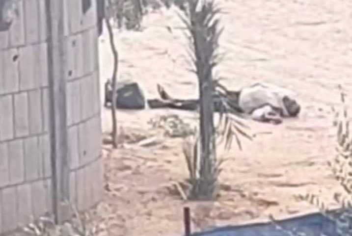 Death in Al Nuseirat Camp Amid Israeli Bombing