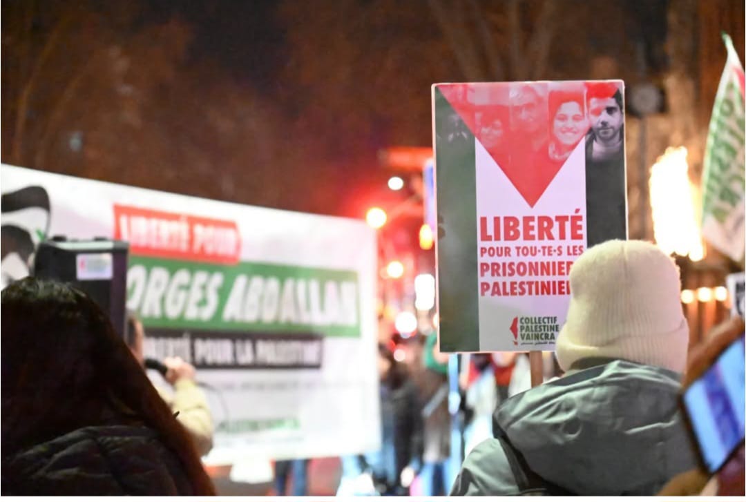 Toulouse Activists Rally for Gaza Ceasefire and Palestinian Resistance