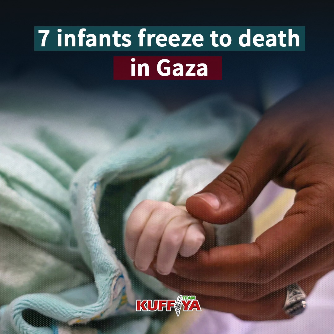 Newborns Die from Hypothermia as Gaza Supply Blockade Continues