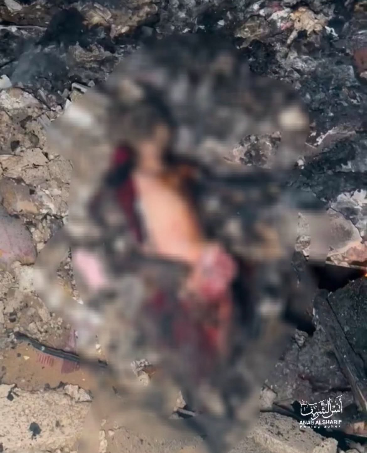 Children burning: urgent call for Arab action and intervention