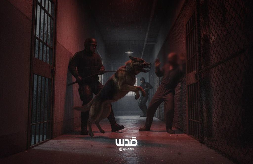 Dog Used Sexual Assault Palestinian Journalist Sde Teiman Prison