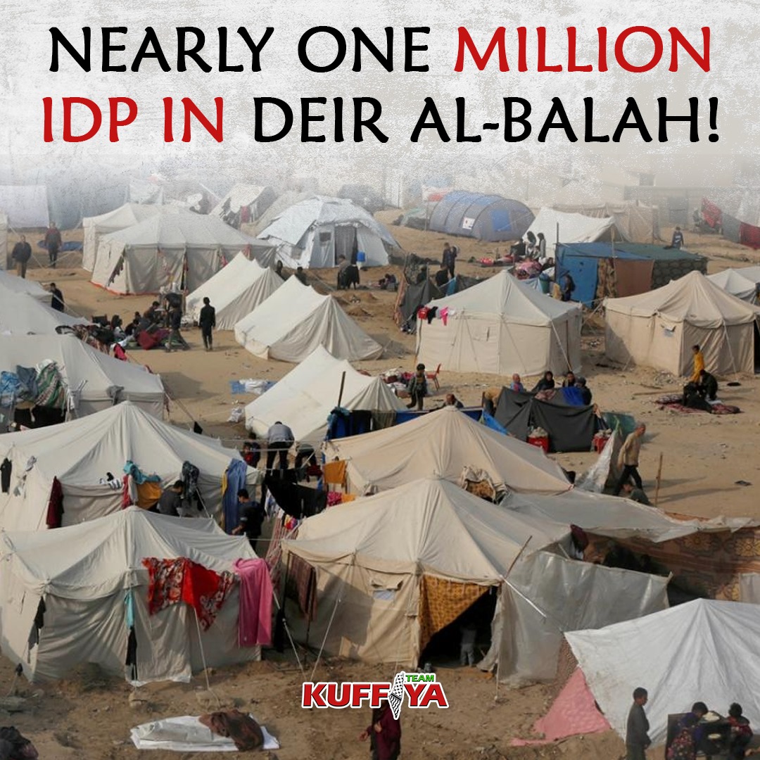 Deir al-Balah Municipality reports nearly one million displaced citizens