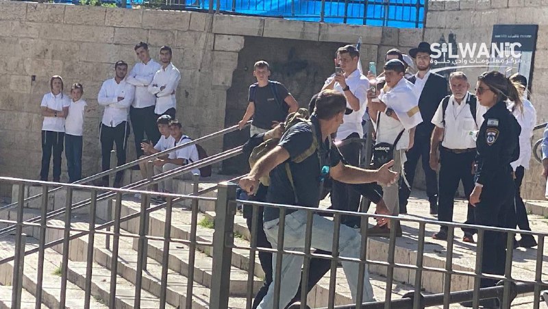 Israeli forces attack foreign journalists at Jerusalem Flag March