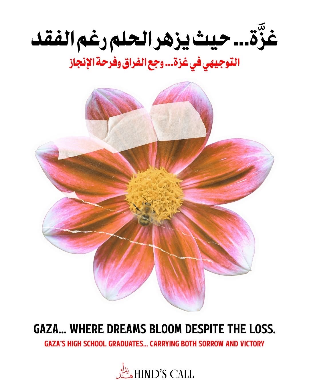 Tawjihi Results in Gaza: Joy and Grief Mixed
