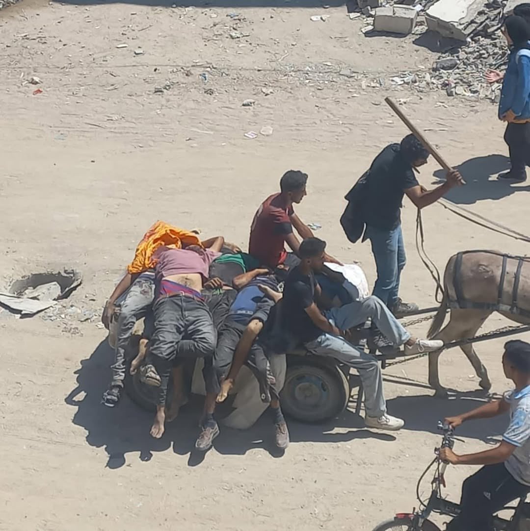 Gaza: Deaths While Searching for Food Amid Destruction
