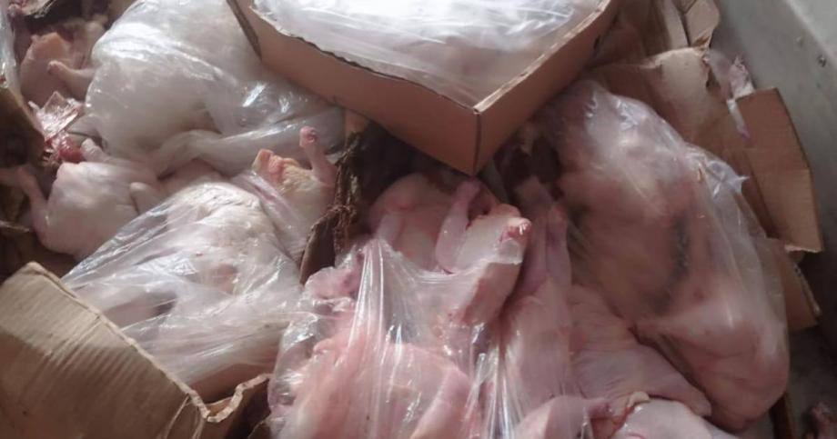 Gaza: spoiled chicken destroyed amid food crisis
