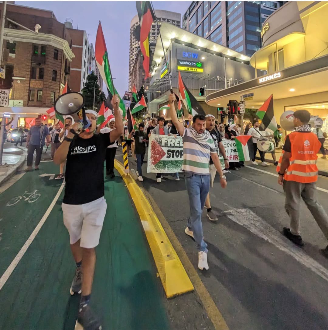 Palestine Supporters Protest Israeli Operations in Gaza
