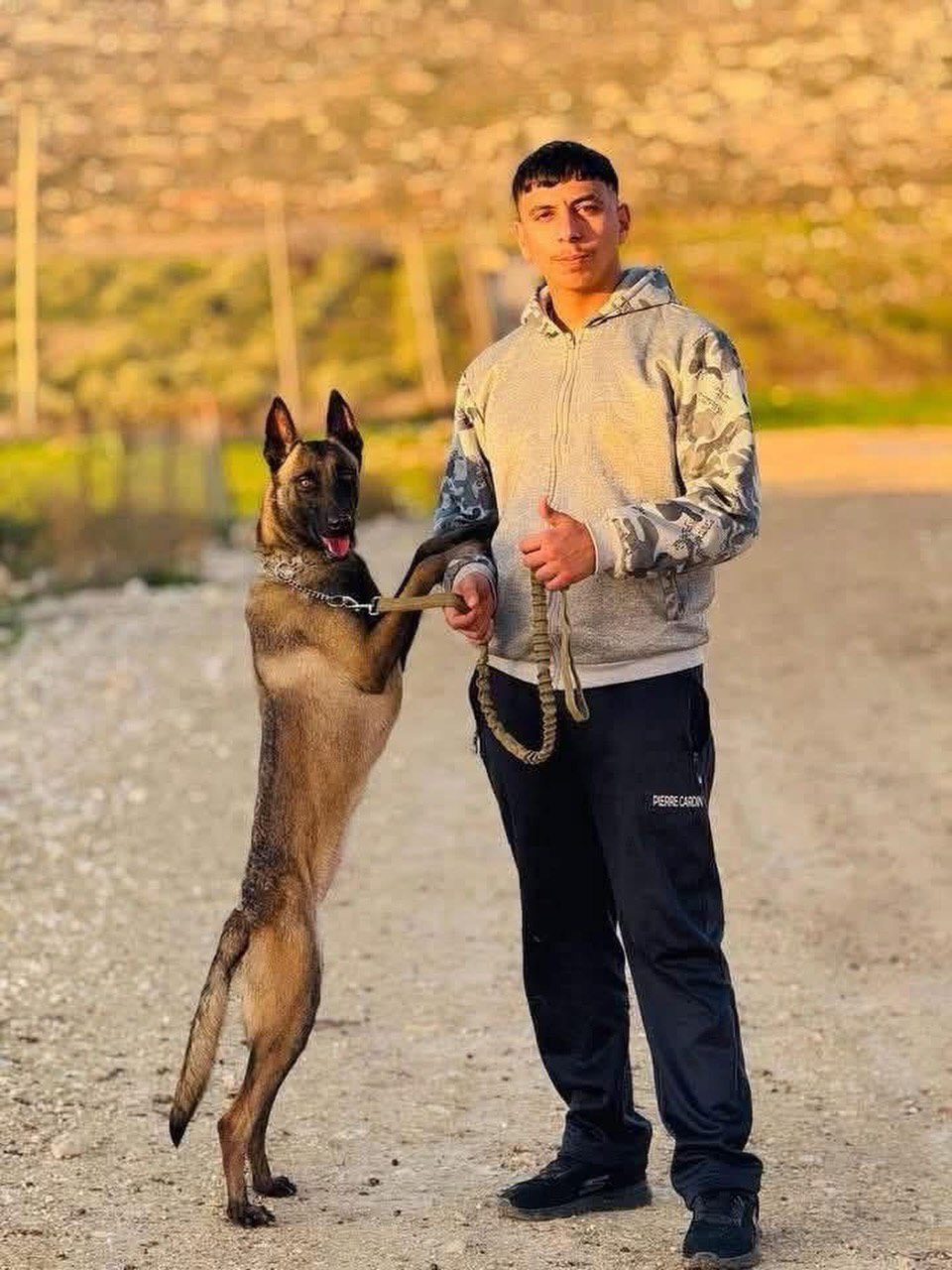 Settlers attack in Beit Furik; dog detained by occupation forces