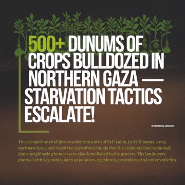 Israel bulldozes 500 dunums of Gaza agricultural land