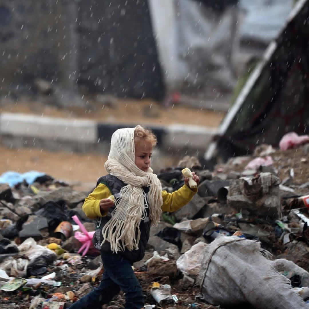 Ceasefire Without Reconstruction Leaves Population in Humanitarian Crisis