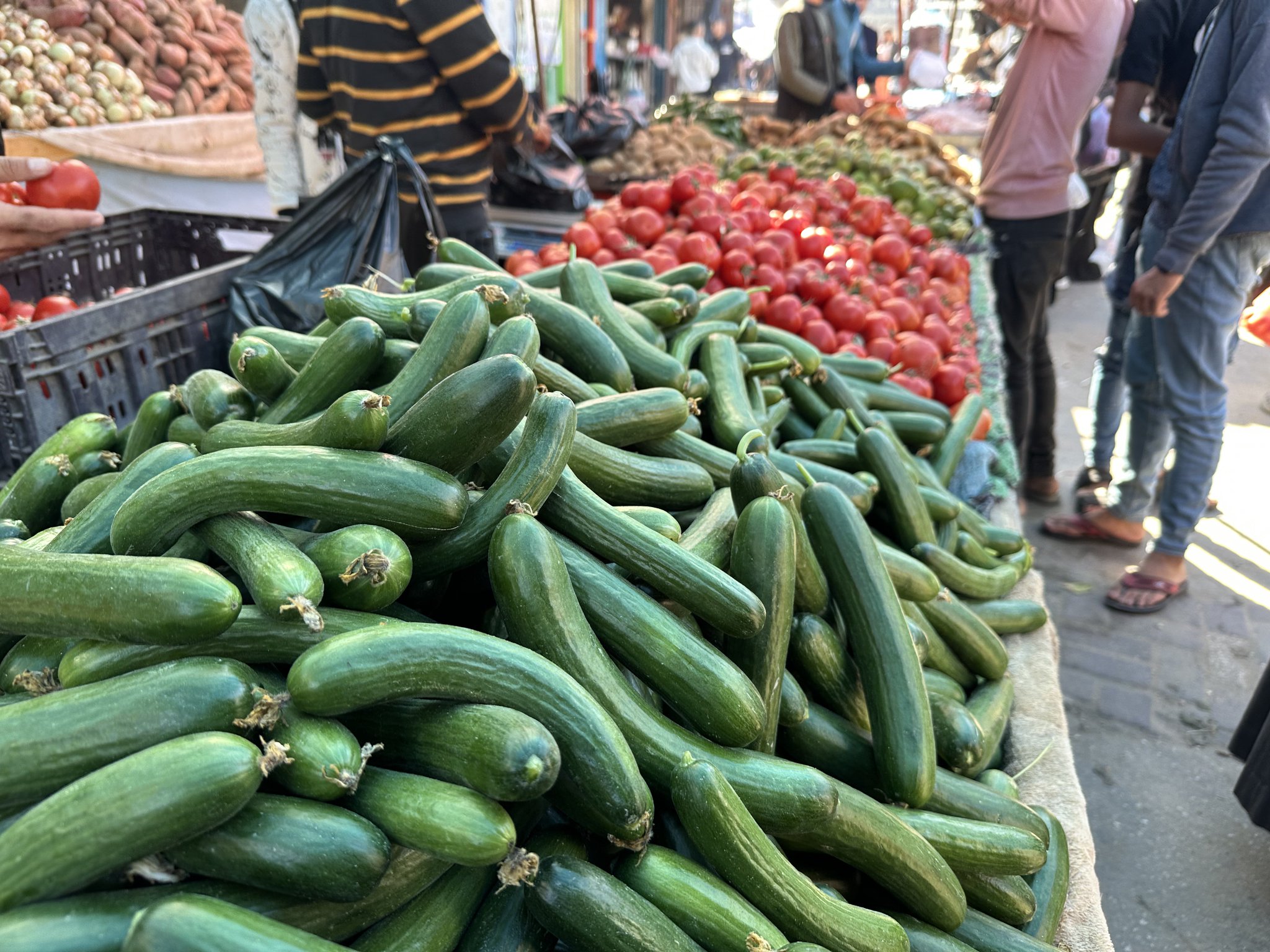 Farmers Risk Lives Selling Vegetables Amid Displacement Orders