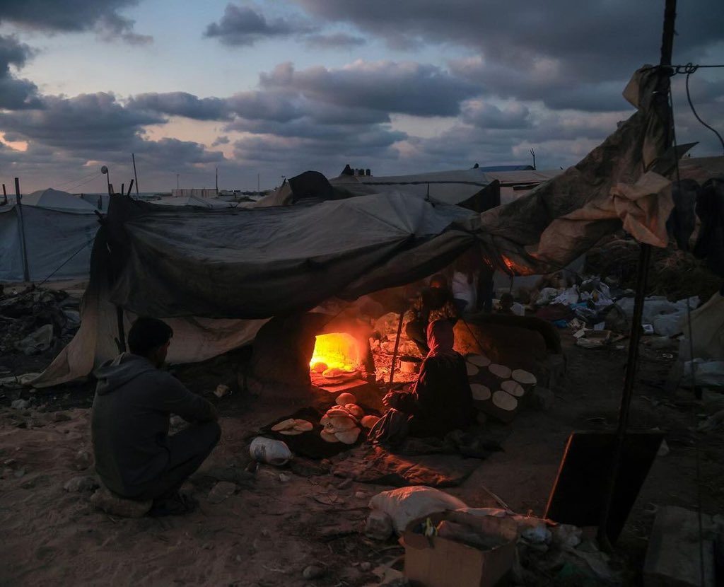 A Year of Displacement and Death in Gaza
