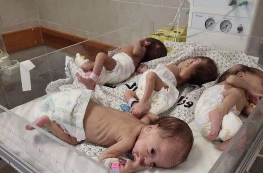 Gaza starvation crisis accused as deliberate genocide act