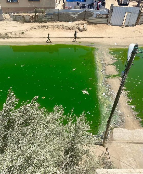 Sewage floods Gaza shelters due to Israeli infrastructure destruction
