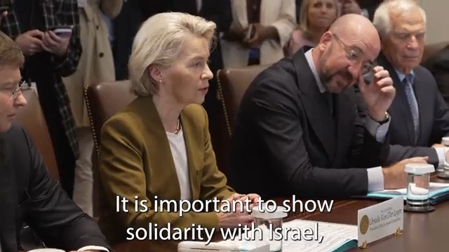 Criticism of Israel’s military actions and Palestinian casualties