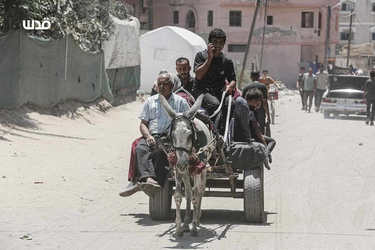Palestinians Use Animal Carts Due to Fuel Shortage in Gaza